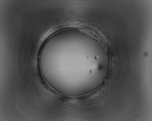 X0000089930344200707131436