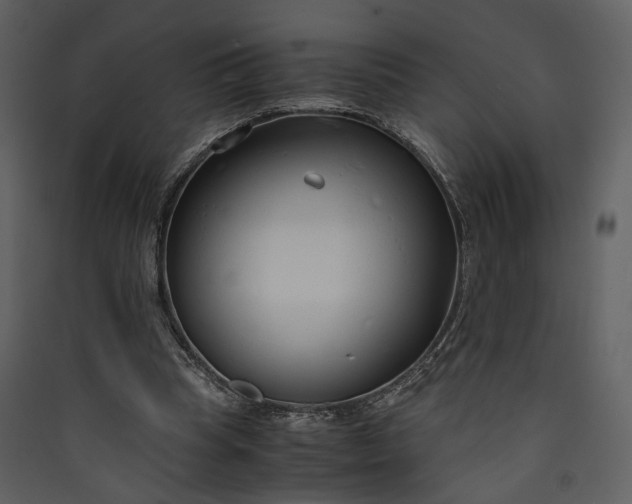 X0000089930345200707131436