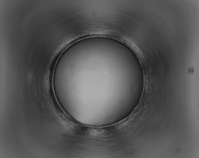 X0000089930346200707131437