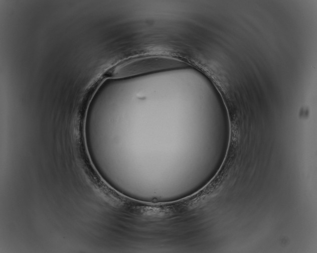 X0000089930347200707131437