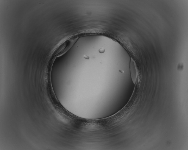 X0000089930348200707131437