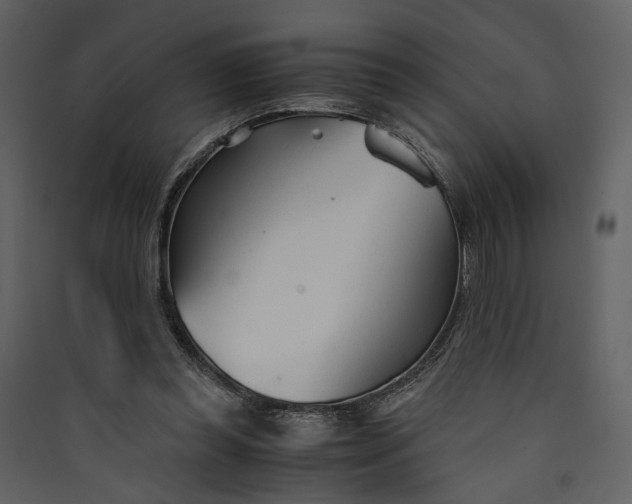 X0000089930349200707131437