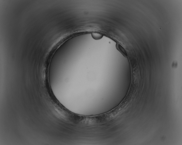 X0000089930350200707131437