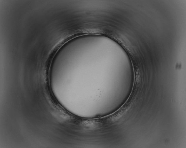 X0000089930351200707131437