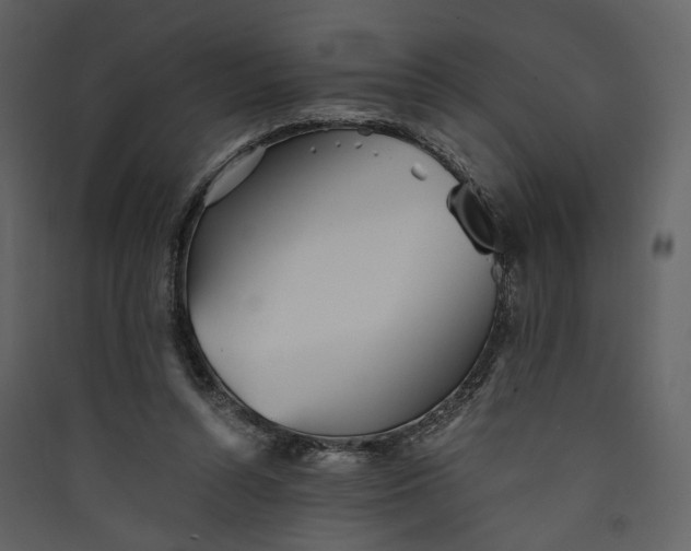 X0000089930352200707131437