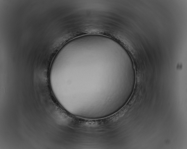 X0000089930353200707131437