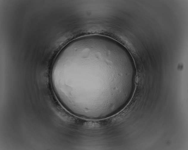 X0000089930354200707131437