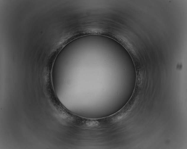 X0000089930355200707131437