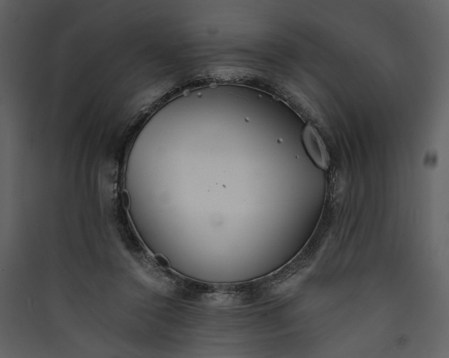 X0000089930356200707131437