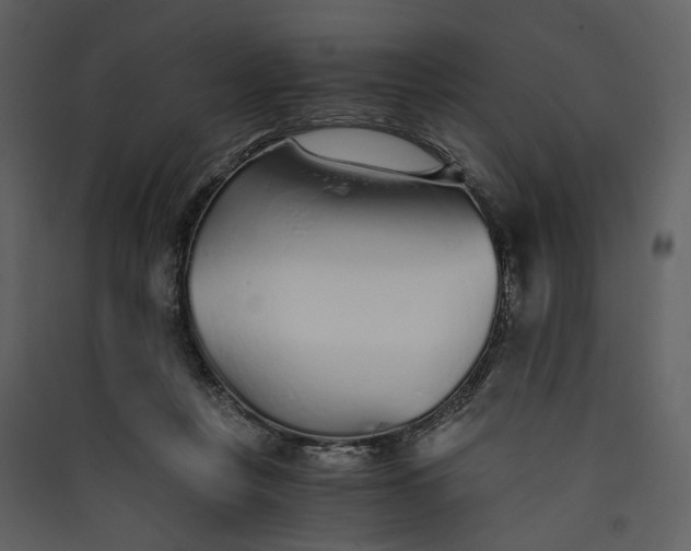 X0000089930359200707131437