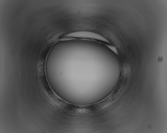 X0000089930360200707131437