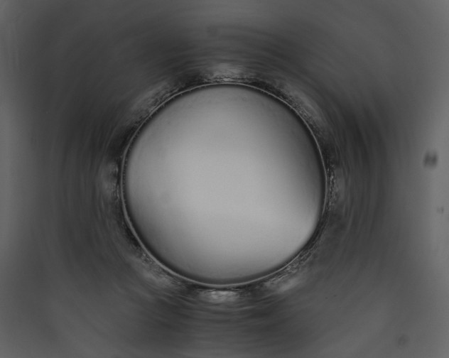 X0000089930361200707131437