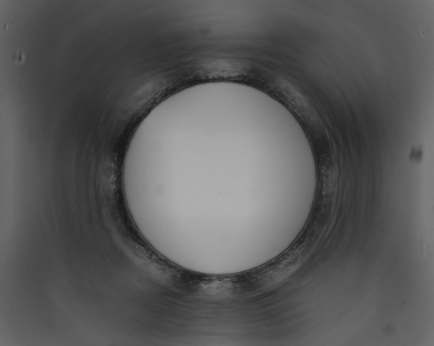 X0000089930362200707131437