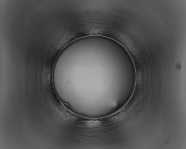 X0000089930363200707131437