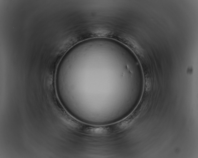 X0000089930365200707131437