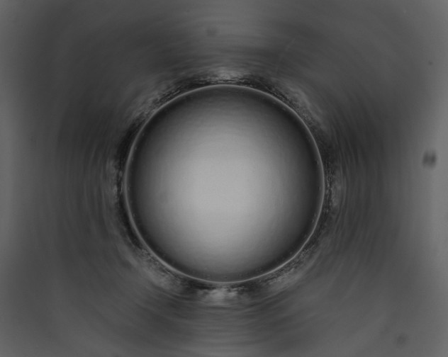 X0000089930366200707131437