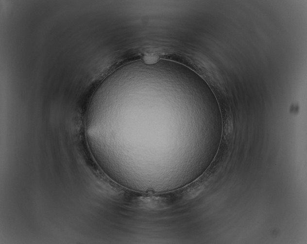 X0000089930367200707131437