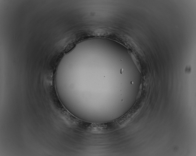 X0000089930368200707131437