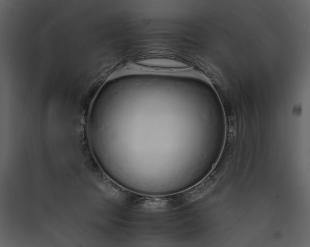 X0000089930369200707131437