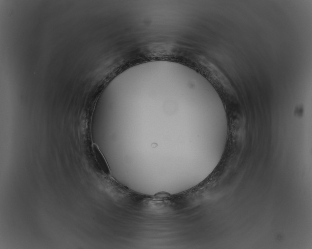 X0000089930372200707131437