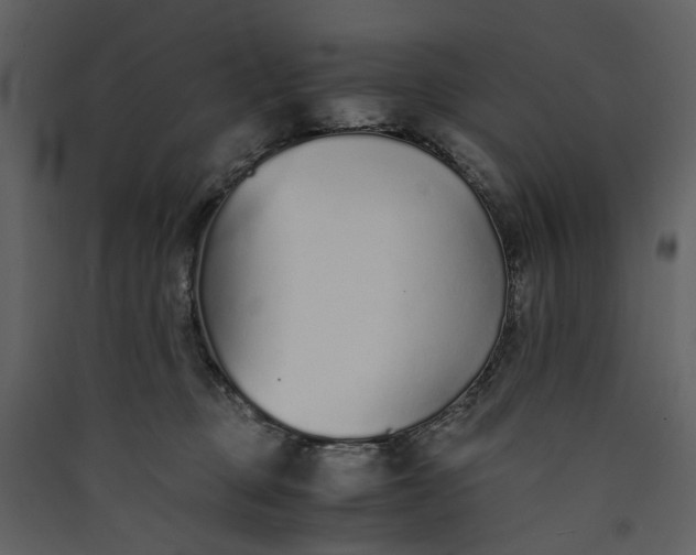 X0000089930373200707131437