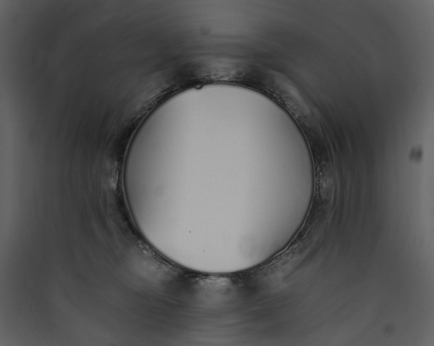 X0000089930374200707131437