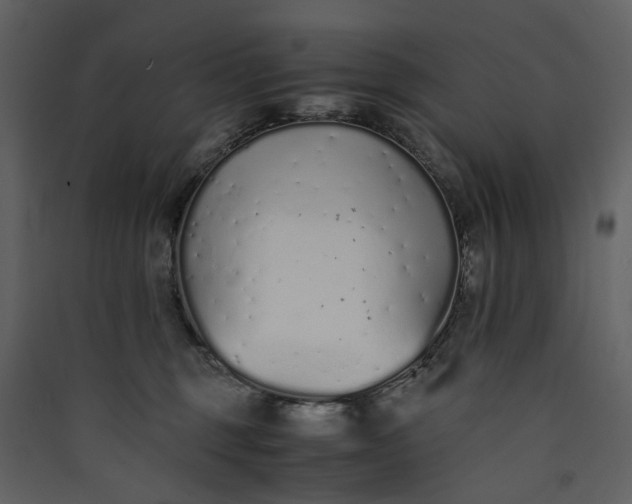 X0000089930375200707131437