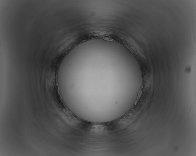 X0000089930376200707131437