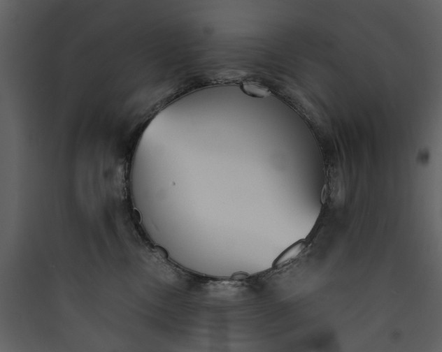 X0000089930378200707131437