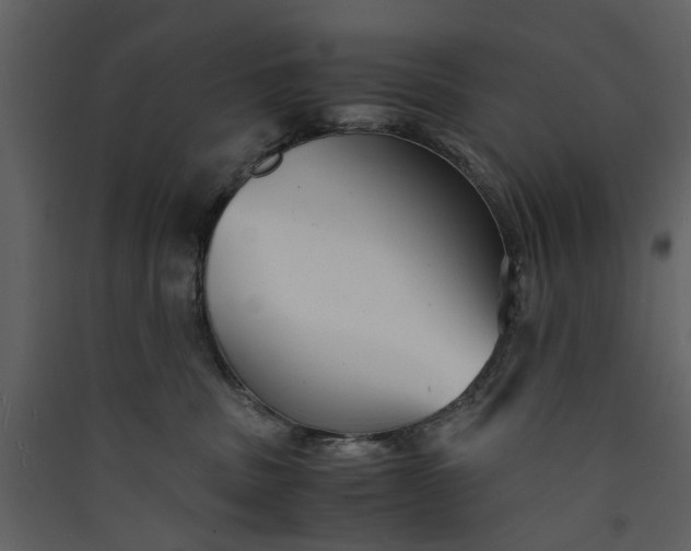 X0000089930379200707131437