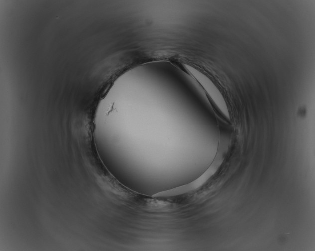 X0000089930380200707131437