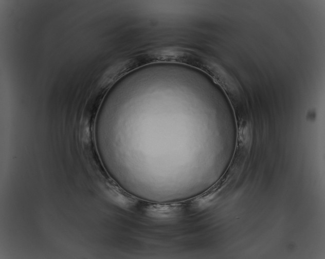 X0000089930381200707131437