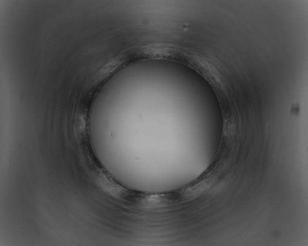 X0000089930382200707131437