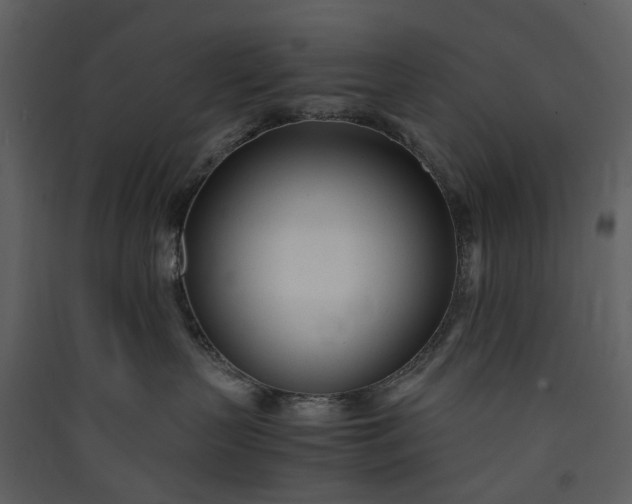 X0000089930383200707131437