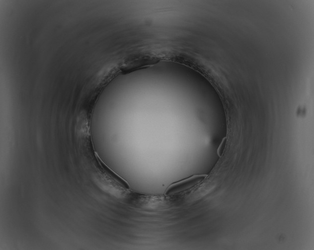 X0000089930384200707131437