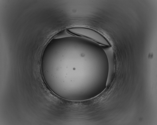 X0000089930385200707131436