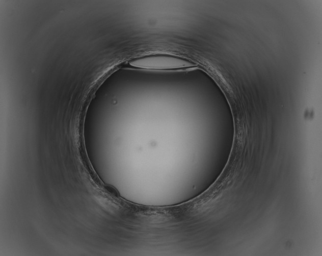 X0000089930386200707131436