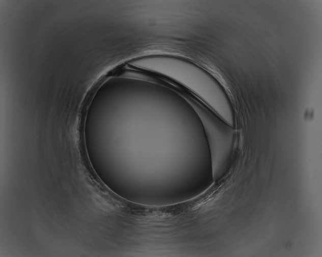 X0000089930387200707131436