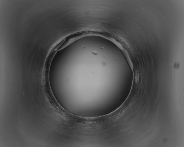 X0000089930388200707131436