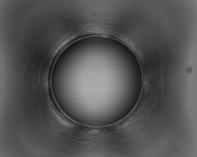 X0000089930390200707131436