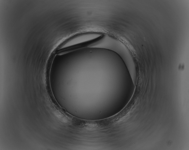 X0000089930391200707131436