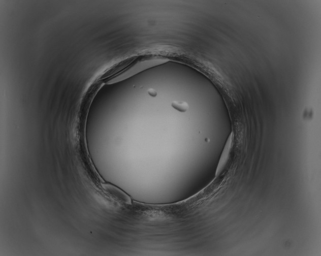 X0000089930392200707131436