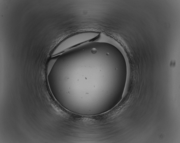 X0000089930393200707131436