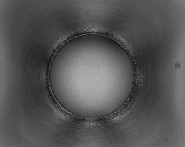 X0000089930394200707131436