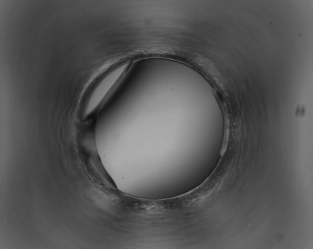 X0000089930395200707131436