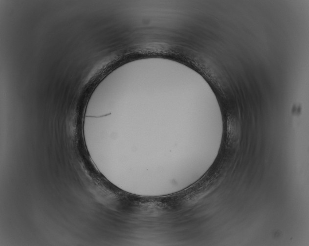 X0000089930396200707131436