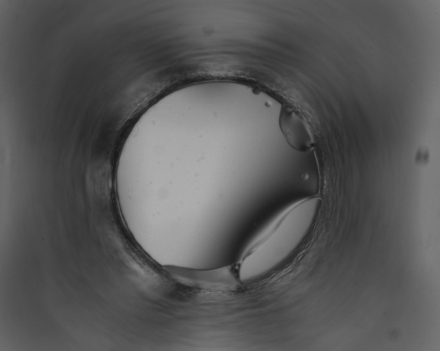 X0000089930397200707131436