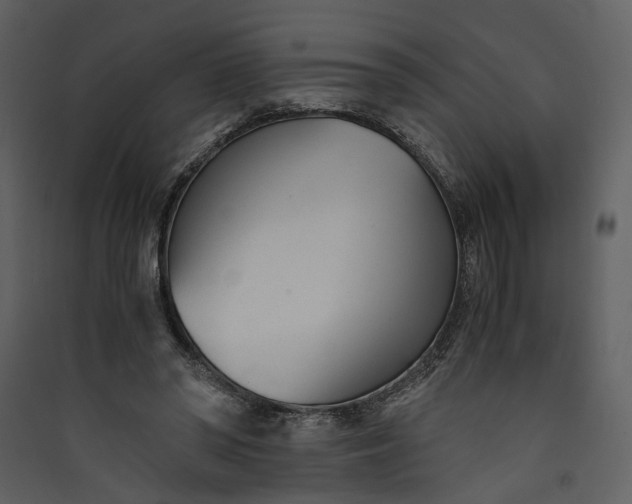 X0000089930398200707131436