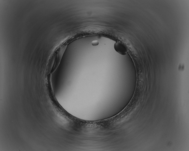 X0000089930399200707131436