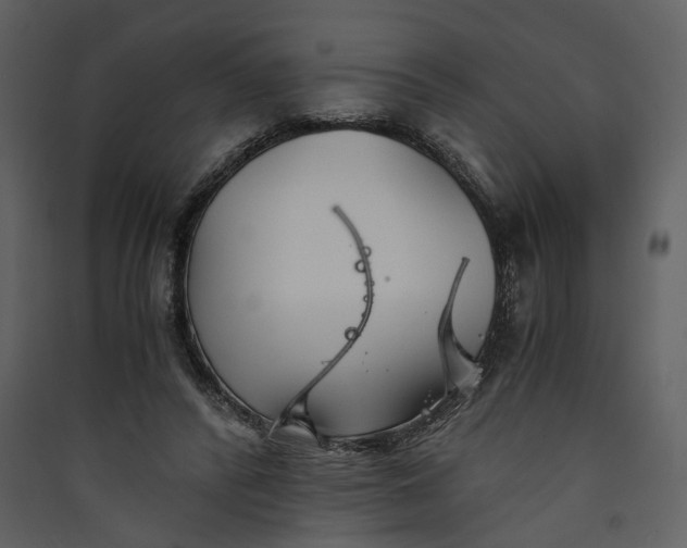 X0000089930400200707131436